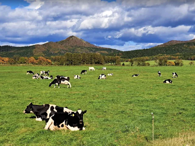 grassland_kl
